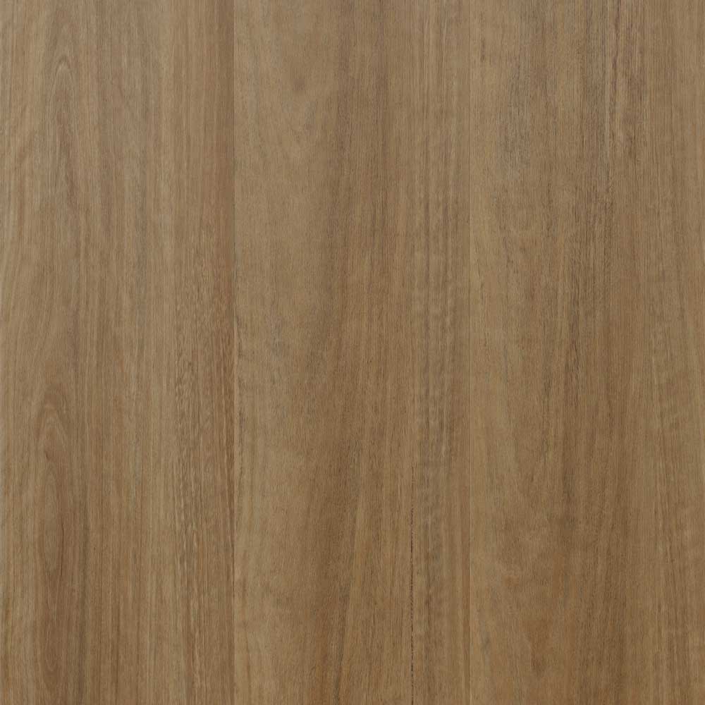 Country Spotted Gum